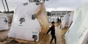 وكالات الأمم المتحدة: سكان غزة يعتمدون على المساعدات للبقاء على قيد الحياة