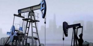 النفط
      ينخفض
      بنهاية
      تعاملات
      الثلاثاء..
      وبرنت
      أقل
      من
      79
      دولار
