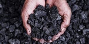 ارتفاع
      إنتاج
      الفحم
      في
      الصين
      بنحو
      3%
      خلال
      2023