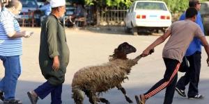 رسميًا
      |
      الإفتاء
      تعلن
      موعد
      عيد
      الأضحى
      في
      مصر