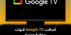 أضافت Google TV قنوات مجانية جديدة