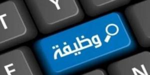 محافظة القاهرة تطلق ملتقى لتوظيف الشباب برعاية «التعليم العالي» غدا