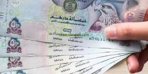 سعر الدرهم الإماراتي اليوم الثلاثاء19-11-2024.. آخر تحديث