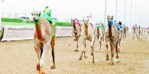 مهرجان حاكم الشارقة الرابع للهجن ينطلق في 10 نوفمبر
