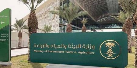 خطة
      لتطوير
      قطاع
      النفايات
      لإعادة
      تدوير
      95%
      ودعم
      الناتج
      المحلي
      بـ
      120
      مليار
      ريال