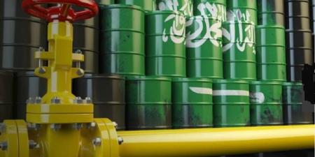 بالأرقام..
      الكشف
      عن
      إنتاج
      السعودية
      المتوقع
      من
      النفط
      بعد
      إقرار
      زيادته
      لنهاية
      2025