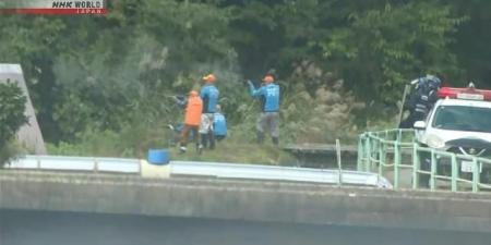 موجة مروعة لهجمات الدببة تحصد عدداً قياسياً من الوفيات في اليابان