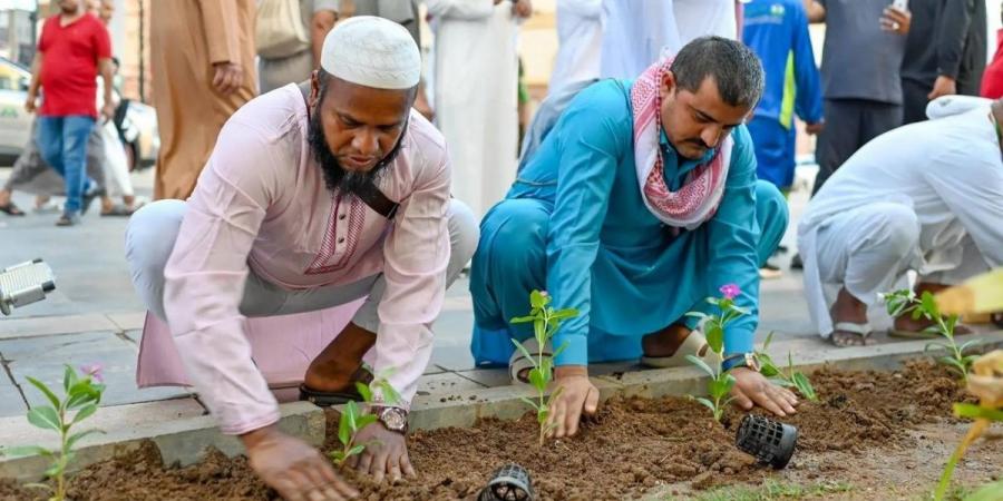 مبادرة لزراعة 300 شجرة بجوار المسجد النبوي