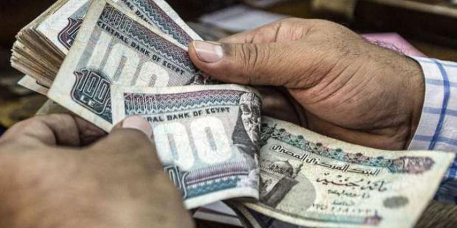 مشروع مربح بتكلفة 50 ألف جنيه والمكسب مضمون