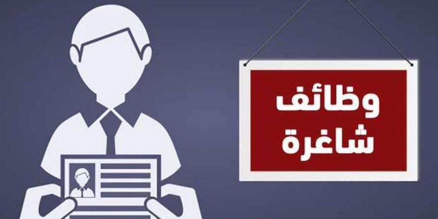 «فرصتك الآن».. وظائف شاغرة تتخطى الـ20 ألف جنيه للمؤهلات المتوسطة