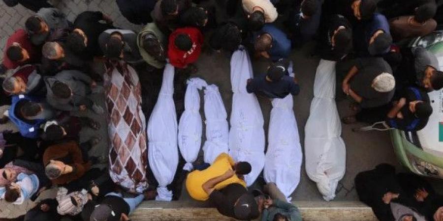 "الصحة" بغزة: 116 شهيداً و463 مصابا خلال الـ24 ساعة الماضية