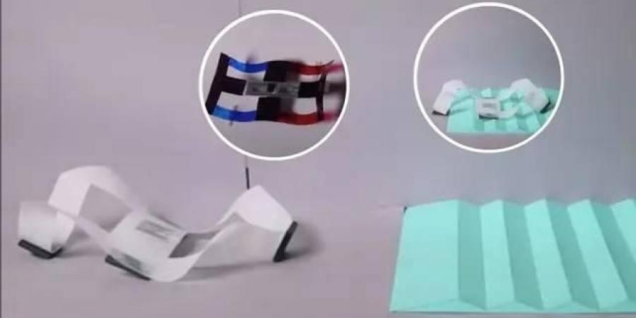 روبوتات مسطحة تزحف وتقفز