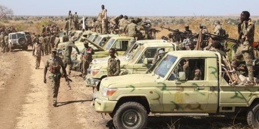 الجيش السوداني يعلن إحباط هجوم واسع لقوات الدعم السريع على مدينة الفاشر