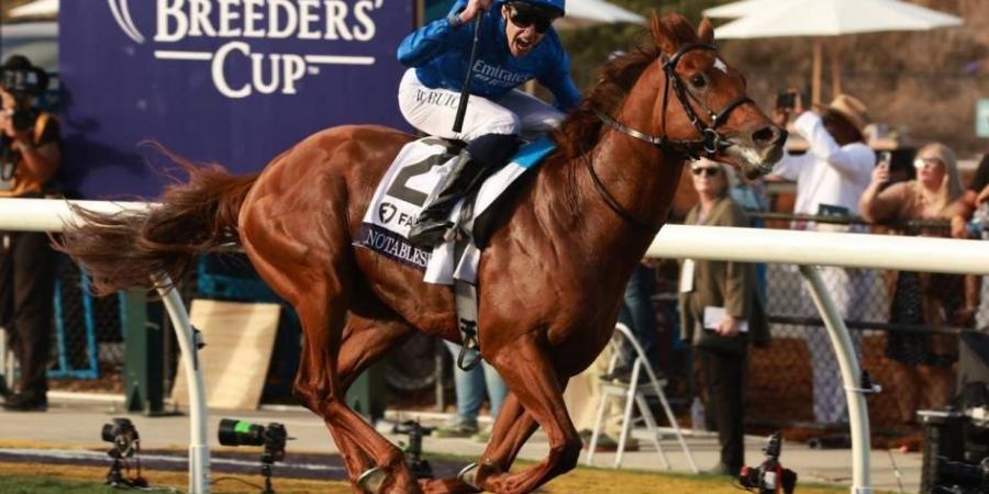 «نوتبيل سبيتش» لجودولفين بطل سباق البريدرز كب للميل (فيديو)