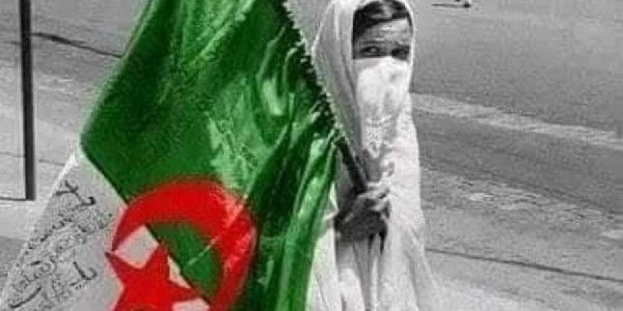 تصريحات "تضحية شهيدات الجزائر بعرضهن" تثير ضجة واسعة