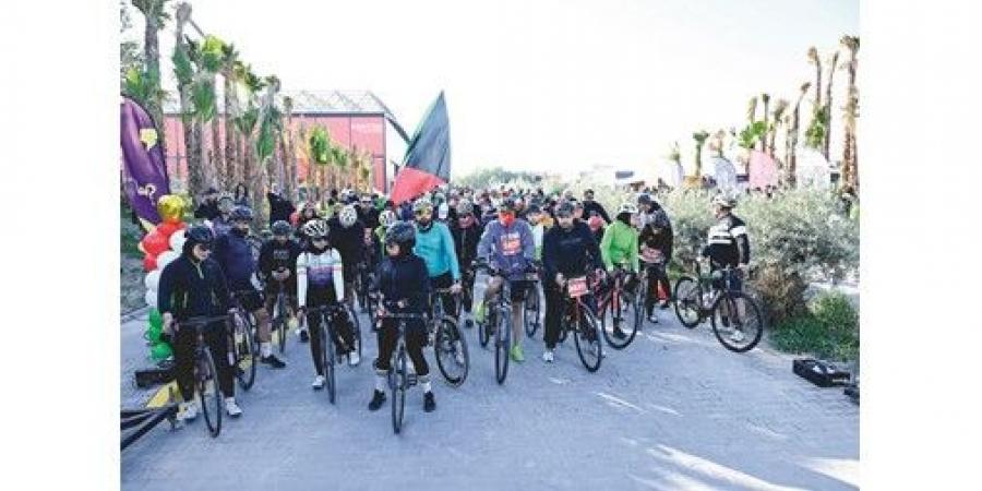 ماراثون
«مبارك
الكبير»
تشجيع
على
ممارسة
الرياضة